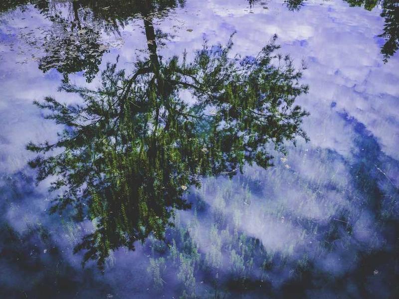 Amasya İş Sağlığı